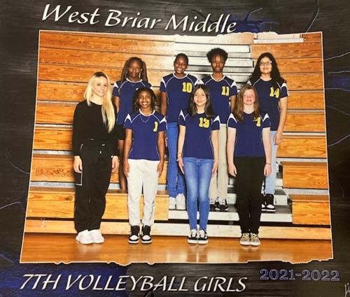 Volleyball Pic 2